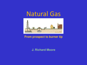 The Natural Gas Industry-an Overview