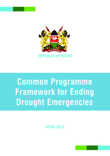 Common Programme Framework For Ending Drought Emergencies