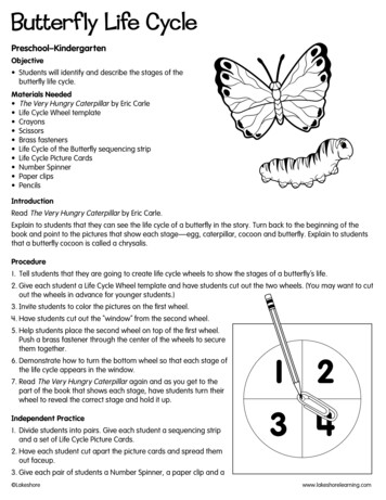 Butterfly Life Cycle - Lakeshore Learning