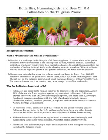 Butterflies, Hummingbirds, And Bees Oh My! Pollinators On .