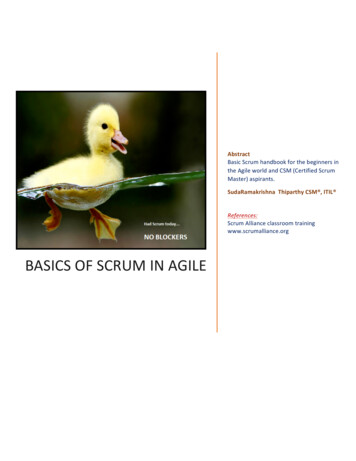 SCRUM In Agile - Scrum Alliance Certification