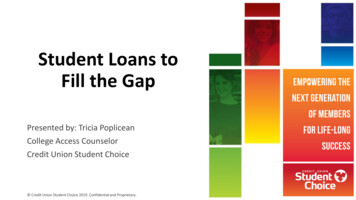 Student Loans To Fill The Gap