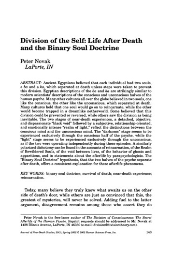 Division Of The Self: Life After Death And The Binary Soul .