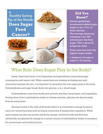 What Role Does Sugar Play In The Body?