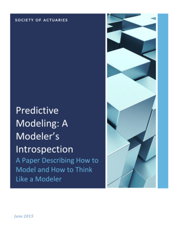 Predictive Modeling: A Modeler’s Introspection