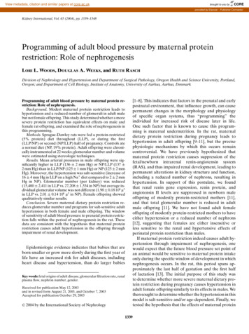 Programming Of Adult Blood Pressure By Maternal Protein . - CORE