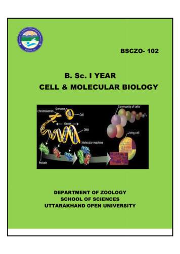 B. Sc. I YEAR CELL & MOLECULAR BIOLOGY