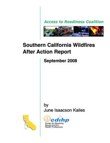 Southern California Wildfires After Action Report - Jik