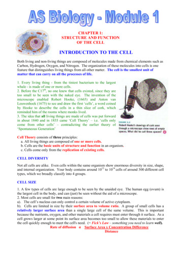 INTRODUCTION TO THE CELL - BiologyMad