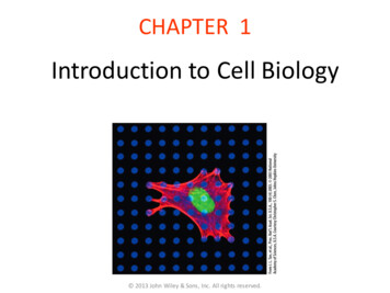 Introduction To Cell Biology - JU Medicine