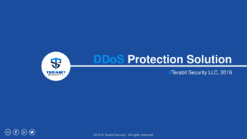 DDoS Protection Solution - Terabit Security