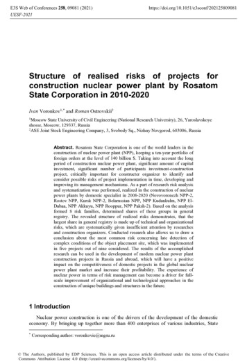 Structure Of Realised Risks Of Projects For Construction Nuclear Power .