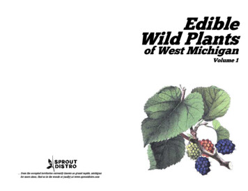 Edible Wild Plants - Ia800900.us.archive 