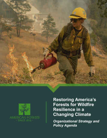 Restoring America's Forests For Wildfire