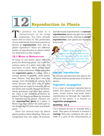 Reproduction In Plants T Not To Be Republished