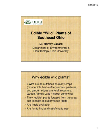 Edible “Wild” Plants Of Southeast Ohio