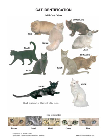 Cat Coat Color Chart - College Of Veterinary Medicine