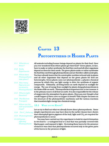 CHAPTER 13 PHOTOSYNTHESIS H P