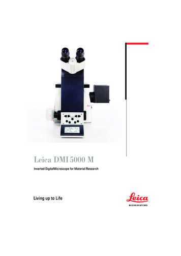 DMI5000 M Englisch:DMI5000 M Englisch - Qsl 