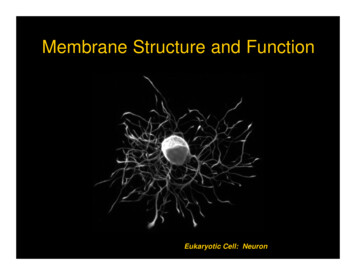 Membrane Structure And Function - Phoenix College
