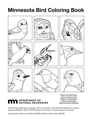 Minnesota Bird Coloring Book - Minnesota Department Of .