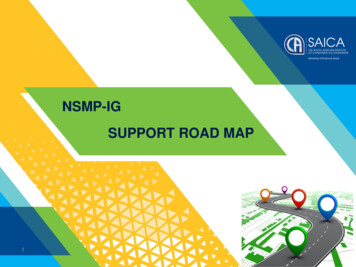 Nsmp-ig Support Road Map