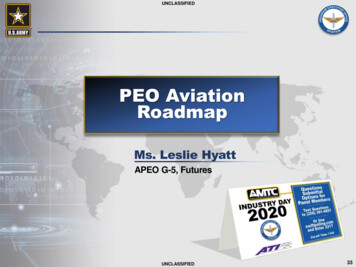 PEO Aviation Roadmap