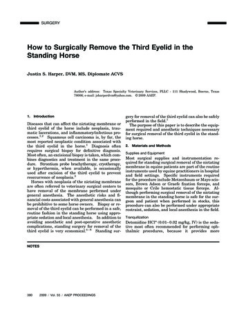 How To Surgically Remove The Third Eyelid In The Standing Horse - AAEP