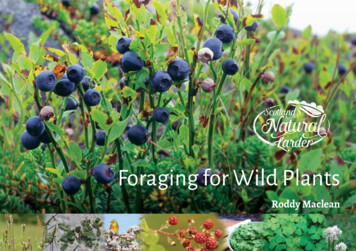 Foraging For Wild Plants - Nature.scot