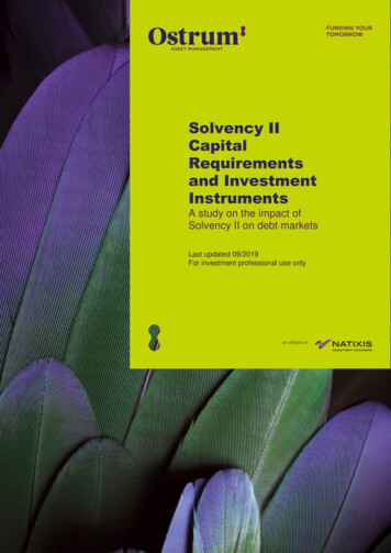 Solvency II Capital Requirements And Investment Instruments