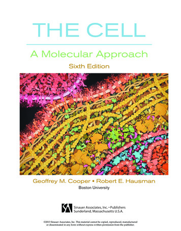 The Cell: A Molecular Approach, Sixth Edition