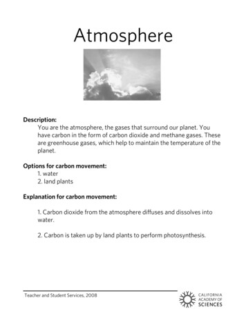 Atmosphere - California Academy Of Sciences