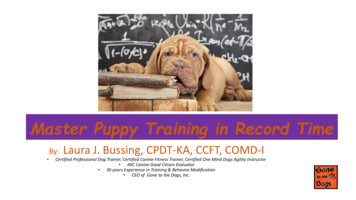 Master Puppy Training In Record Time