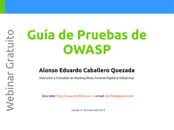 O T Guía De Pruebas De U T OWASP A R G Alonso Eduardo .