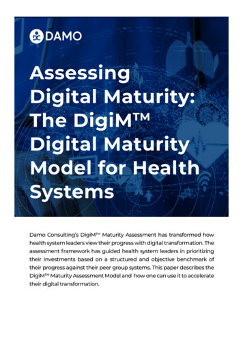 Assessing Digital Maturity: The DigiMTM - Damo Consulting