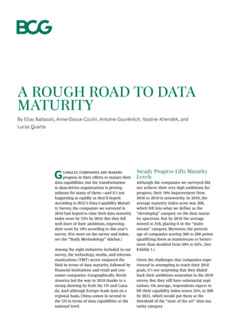 A Rough Road To Data Maturity - BCG