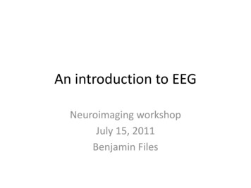 An Introduction To EEG - University Of Southern California