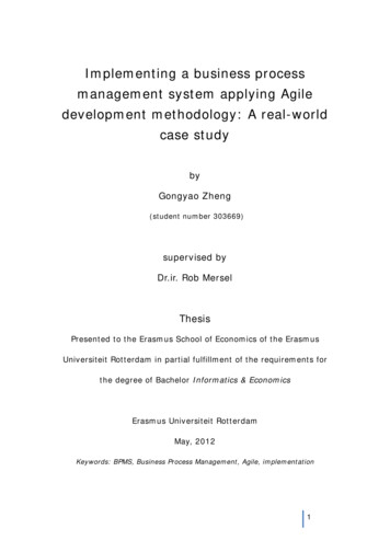 Implementing A Business Process Management System Applying Agile .