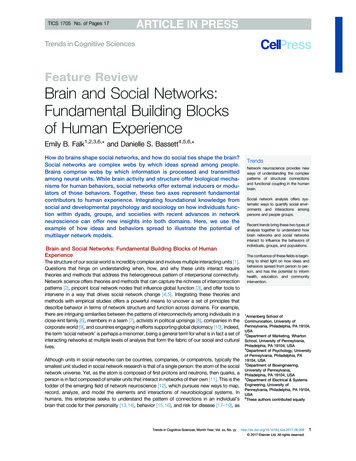 Feature Review Brain And Social Networks: Fundamental [371 .