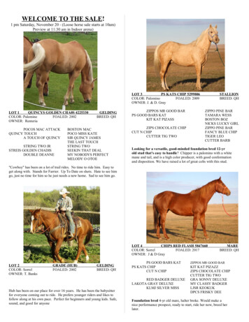 WELCOME TO THE SALE! - Sdhorsesales 