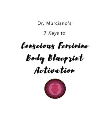 Conscious Feminine Body Blueprint Activation