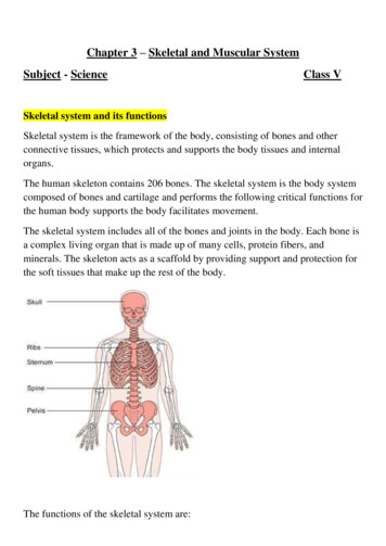 Chapter 3 Skeletal And Muscular System Subject - Science .