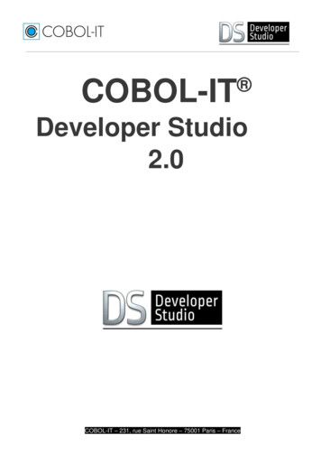 COBOL-IT Developer Studio 2