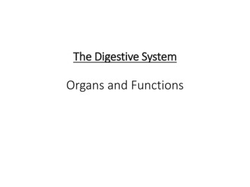 Organs And Functions
