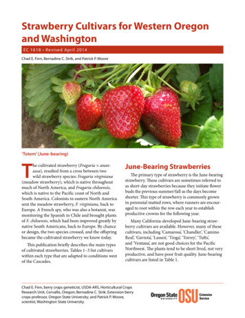 Strawberry Cultivars For Western Oregon And Washington