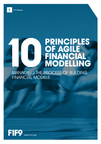 PRINCIPLES OF AGILE FINANCIAL MODELLING - F1f9 