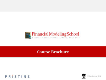 Financial Modeling B3 Brochure - Chandoo 