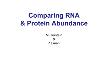 Comparing RNA & Protein Abundance
