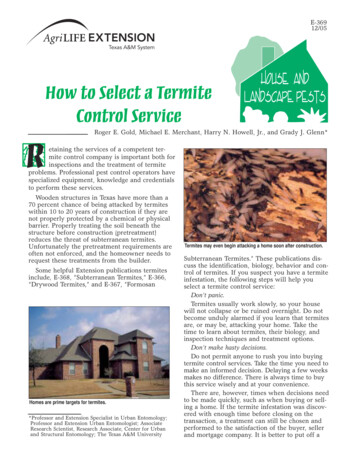 How To Select A Termite Control Service - Agrilife 