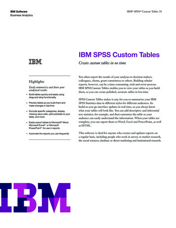 IBM SPSS Custom Tables - DMSS